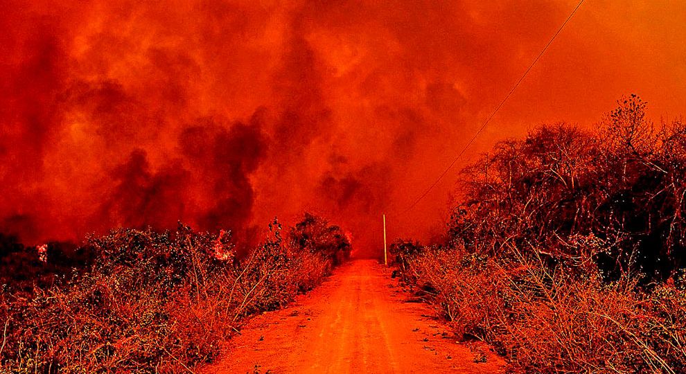 ju-artigo_brasil-2022_20211022_1_0-1