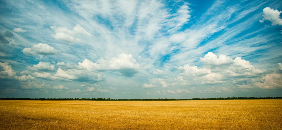 pexels-alexandr-podvalny-1227513-2048x1363